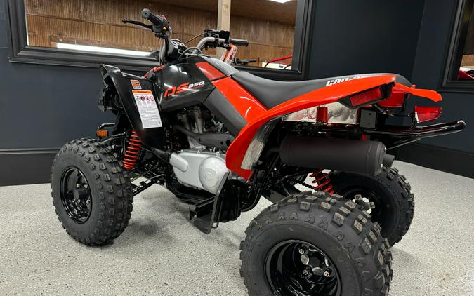 2027 Can-Am DS 250
