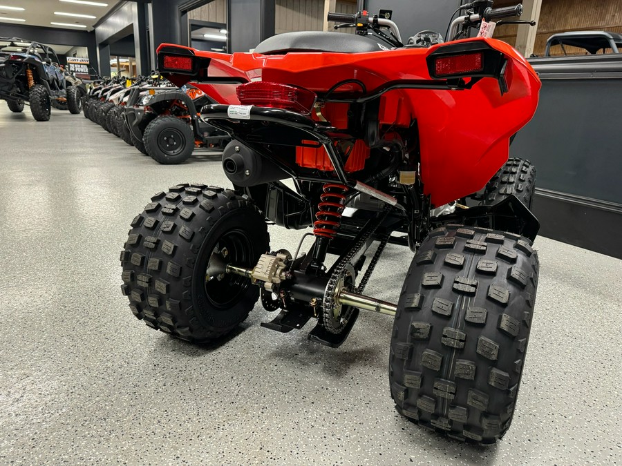 2027 Can-Am DS 250