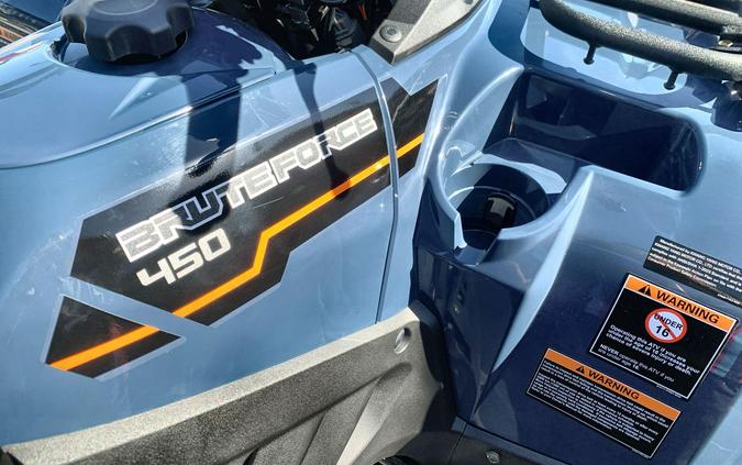 2026 Kawasaki BRUTE FORCE 300