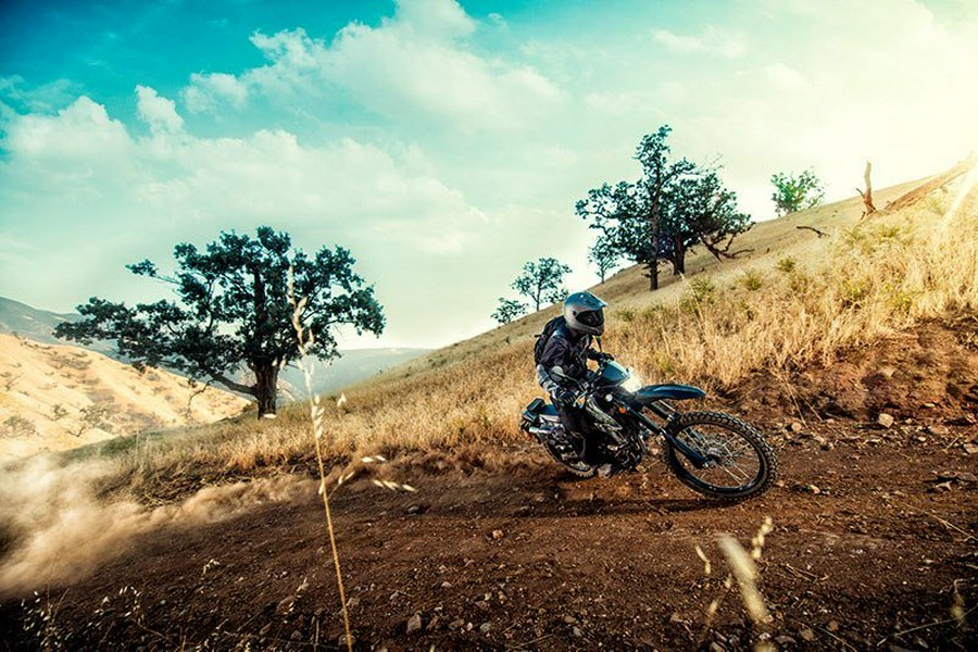 2018 Kawasaki KLX 250 Camo