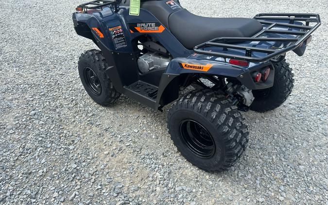 2026 Kawasaki Brute Force® 300