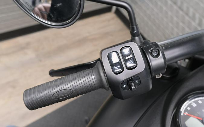 2020 INDIAN MOTORCYCLE DARK HORSE