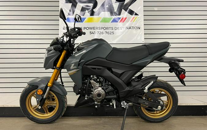 2024 Kawasaki Z125 Pro