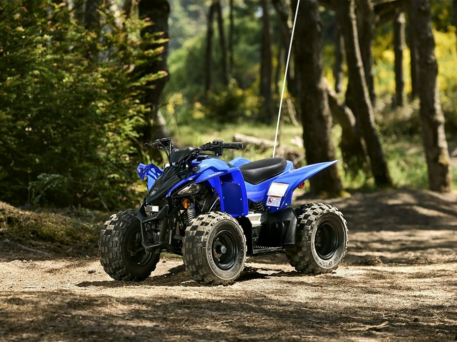 2025 Yamaha YFZ 50