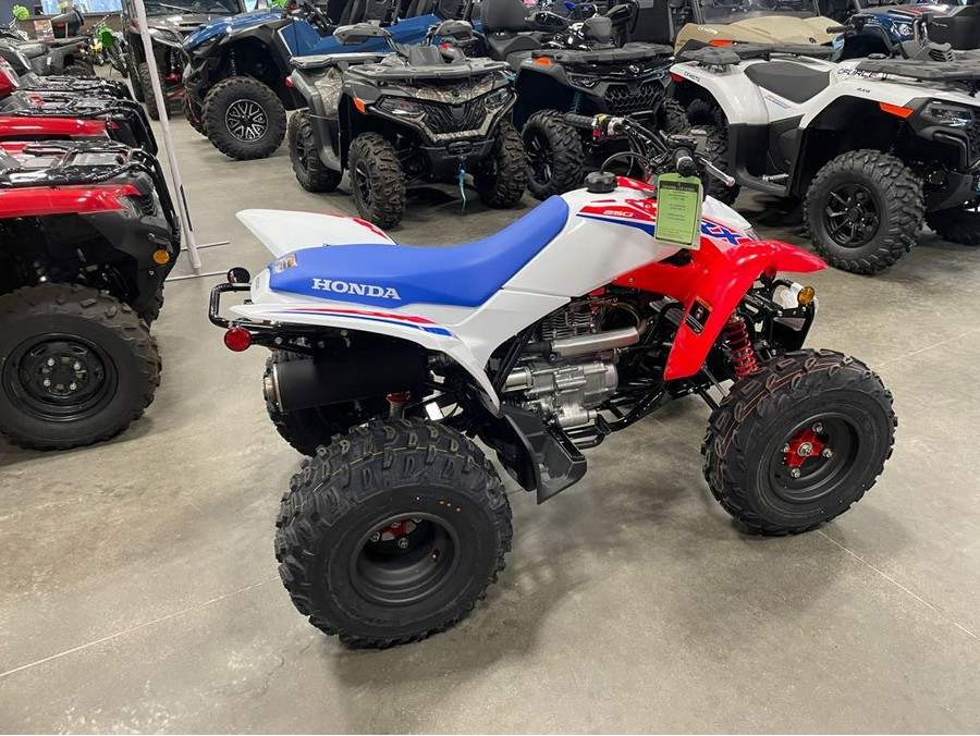 2026 Honda TRX® 250X