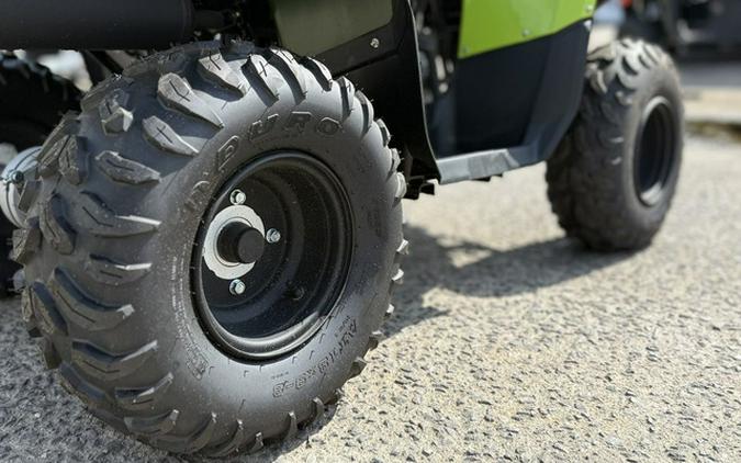 2026 Yamaha Grizzly 110