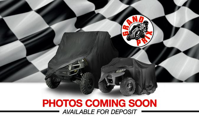 2017 Polaris® RZR XP® 1000 EPS Titanium Metallic