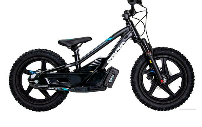 2025 Stacyc 16eDrive Elite 36V