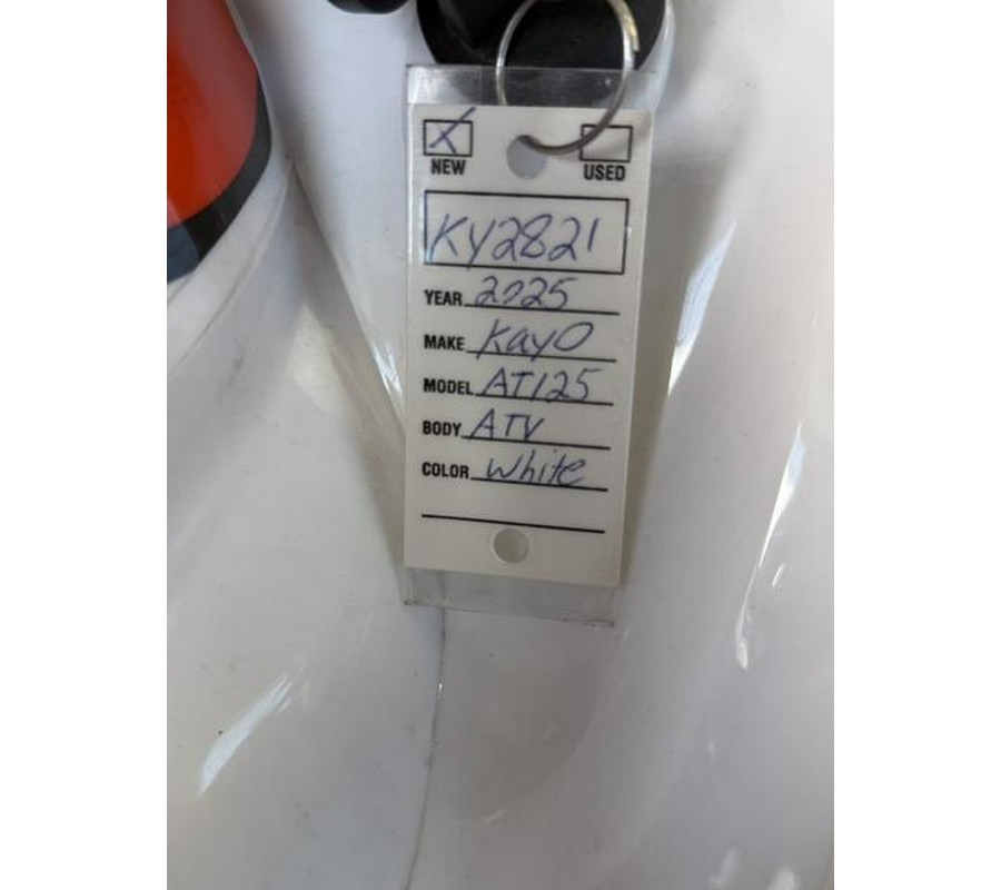2025 Kayo Predator 125