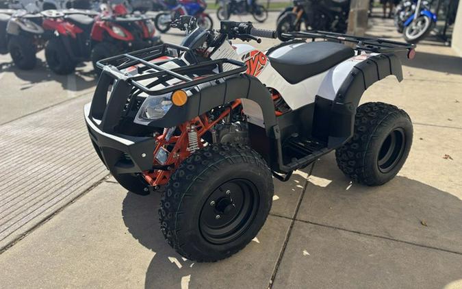2026 Kayo Bull 150 EFI