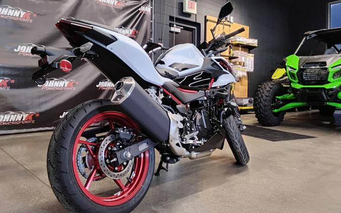 2026 Kawasaki Ninja 500