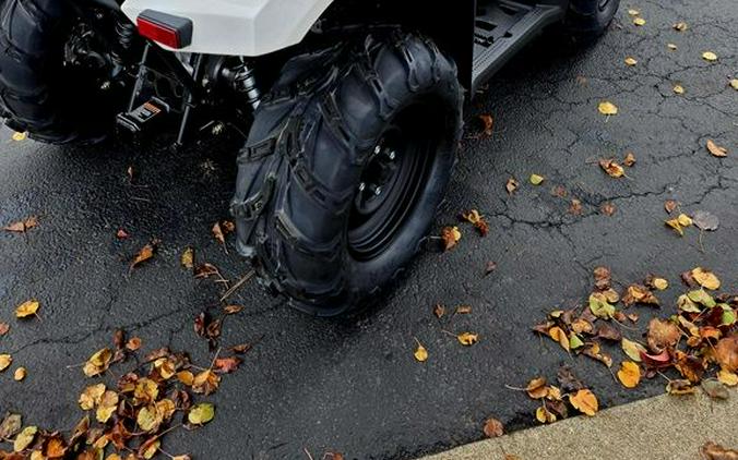 2025 Kawasaki Brute Force® 450 4x4