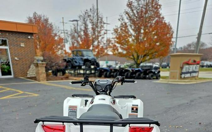 2025 Kawasaki Brute Force® 450 4x4