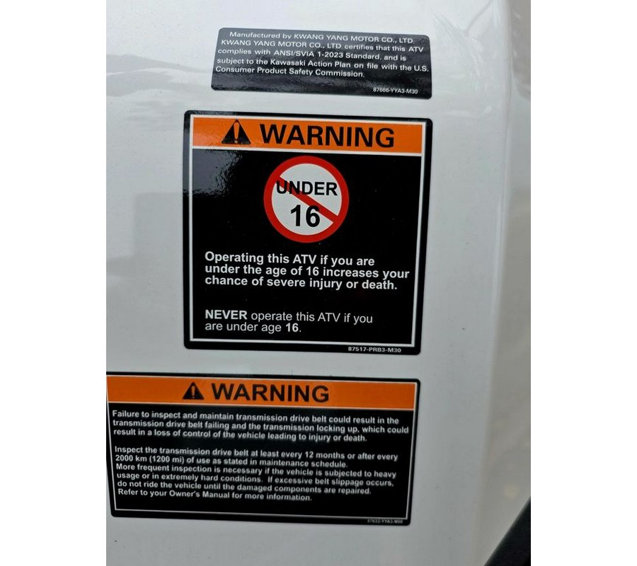 2025 Kawasaki Brute Force® 450 4x4