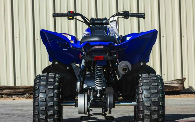 2026 Yamaha Raptor 110