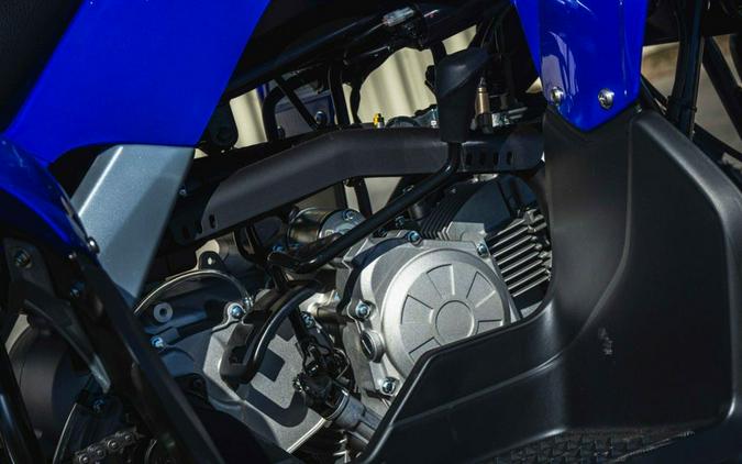 2026 Yamaha Raptor 110