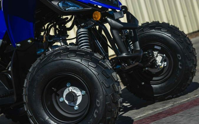 2026 Yamaha Raptor 110