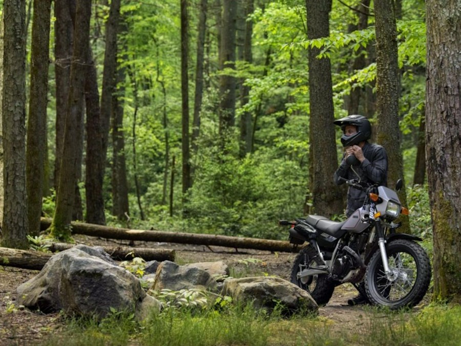 2027 Yamaha TW200
