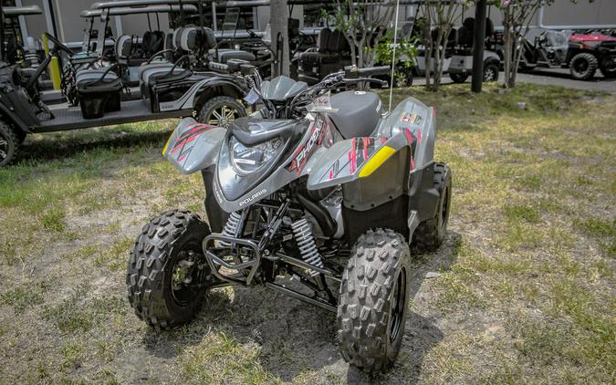 2024 Polaris® Phoenix 200