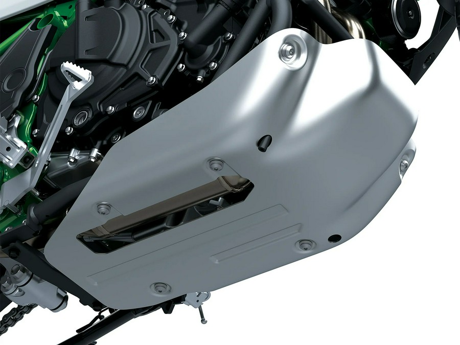 2026 Kawasaki KLE®500 SE ABS