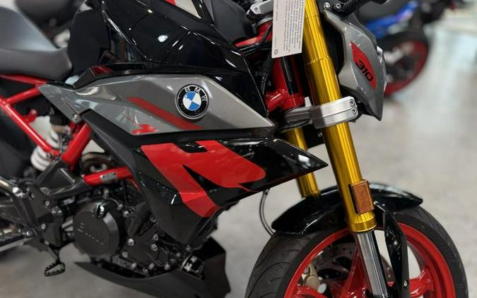 2025 BMW G 310 R Style Passion