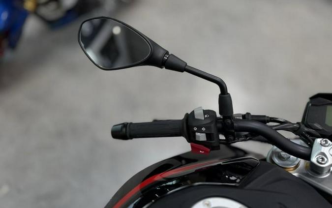 2025 BMW G 310 R Style Passion