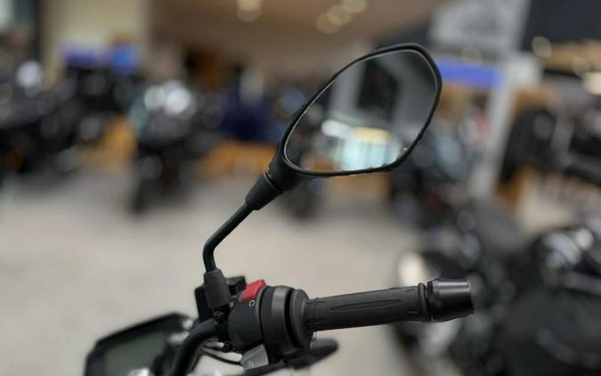 2025 BMW G 310 R Style Passion