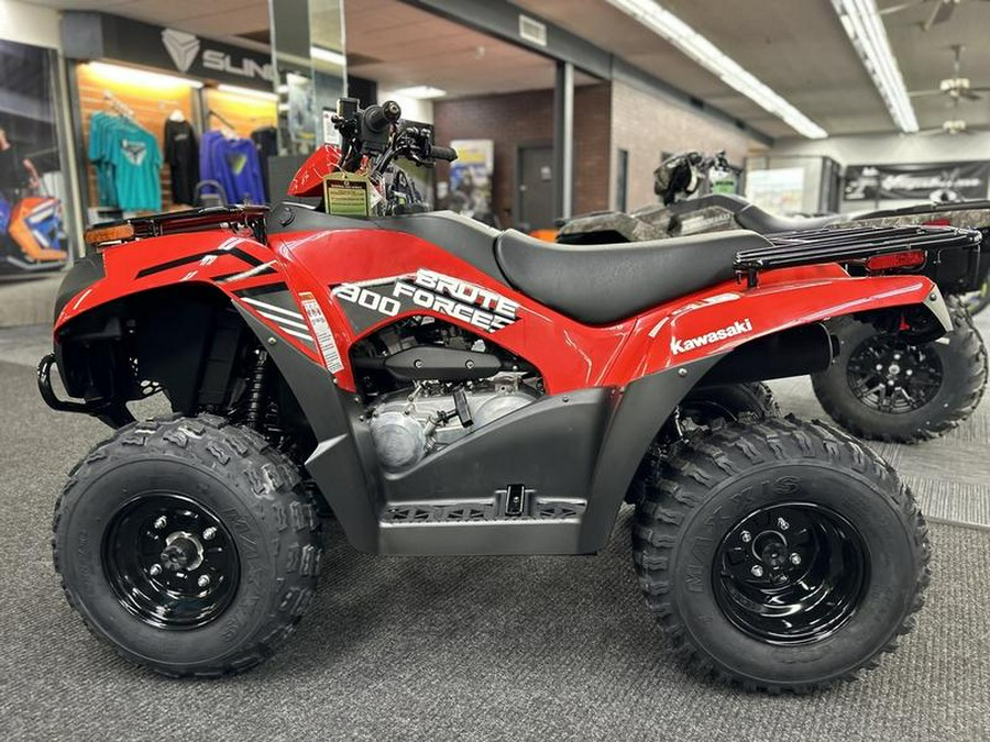 2024 Kawasaki Brute Force® 300