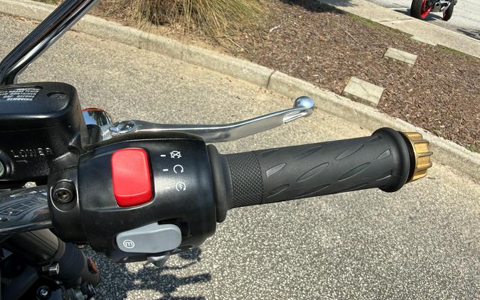 2025 Triumph Bonneville T120