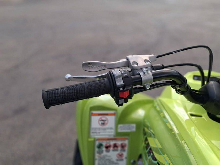 2026 Yamaha Raptor 700R SE