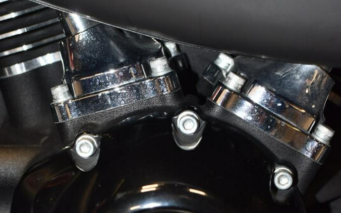 2019 Harley-Davidson Street Glide Special