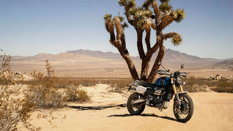 2019 Triumph Scrambler 1200 XE