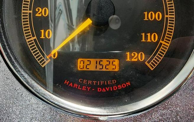 2003 Harley-Davidson® FXSTS - Springer Softail®