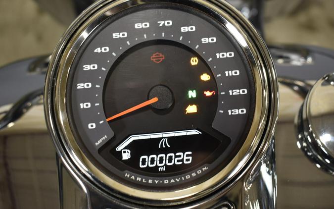 2025 Harley-Davidson Fat Boy Gray Ghost Reflection