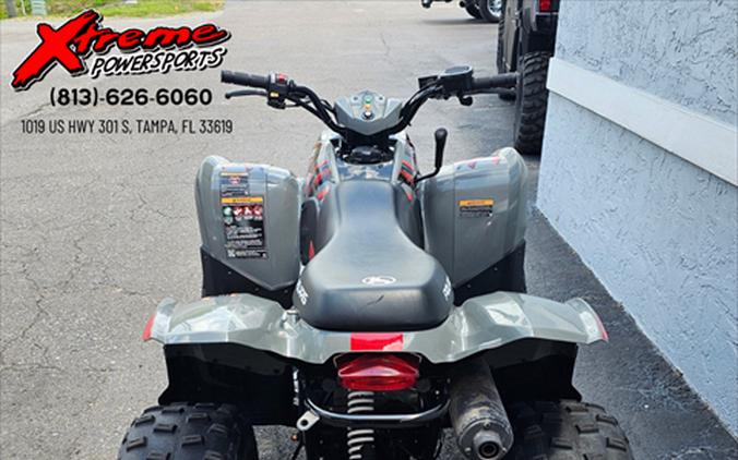 2019 Polaris Phoenix 200