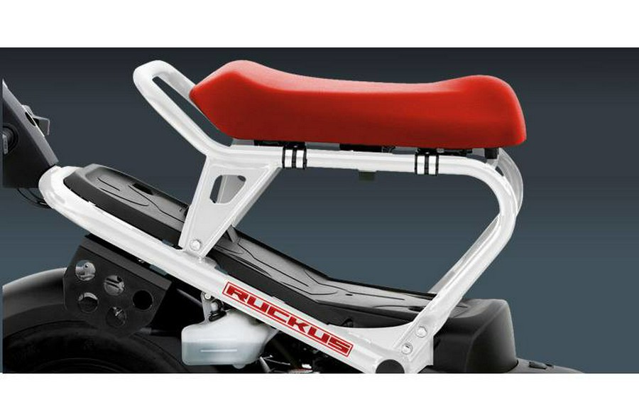 2015 Honda Ruckus