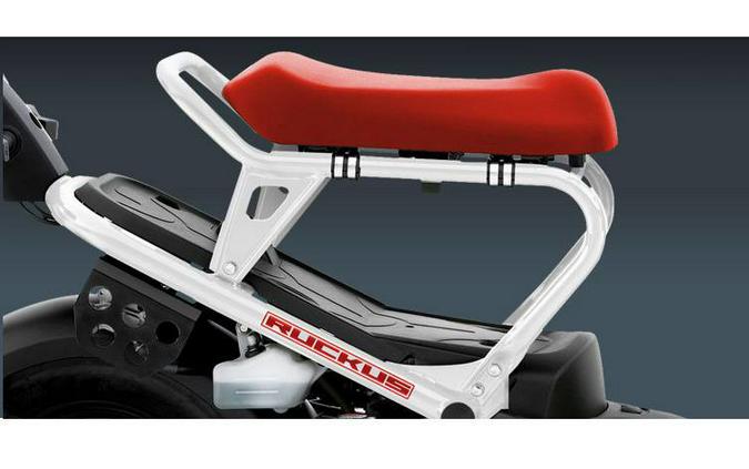 2015 Honda Ruckus