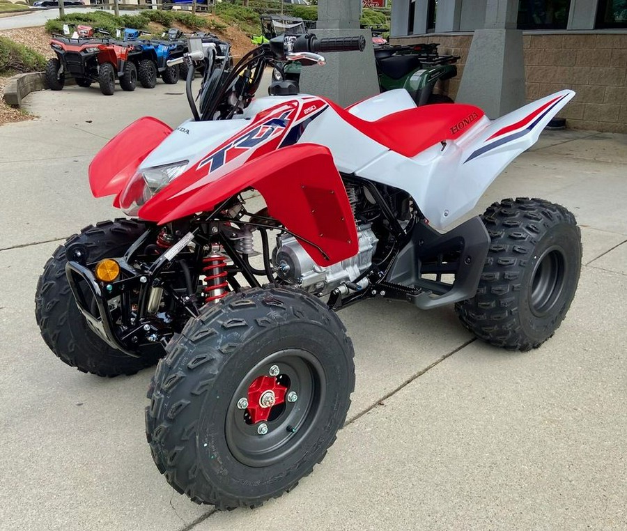 2024 Honda® TRX250X