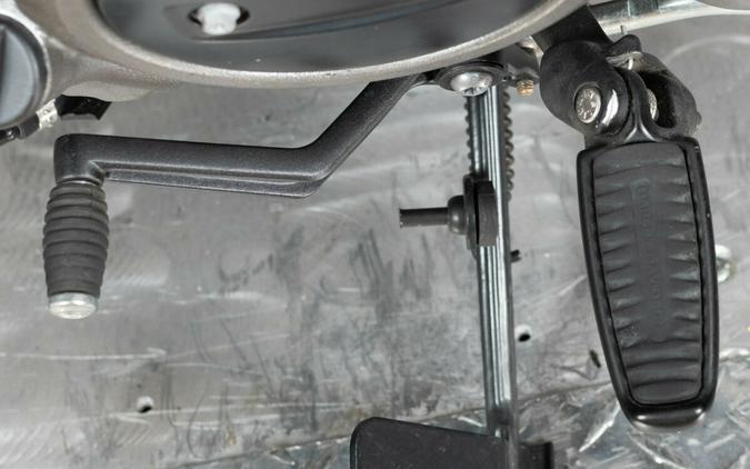 2023 Harley-Davidson Nightster Special RH975S