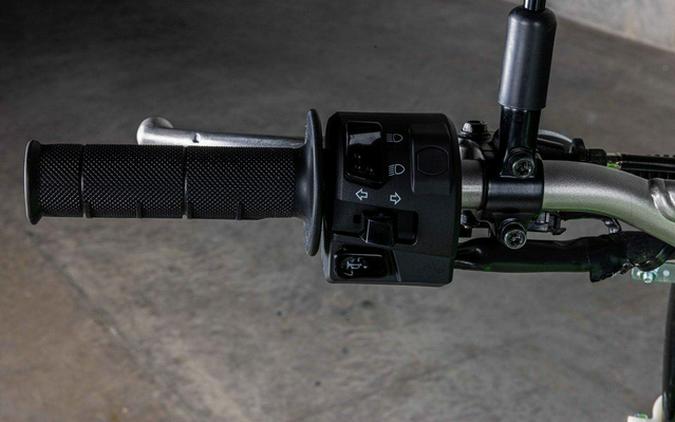 2025 Kawasaki KLX 230S