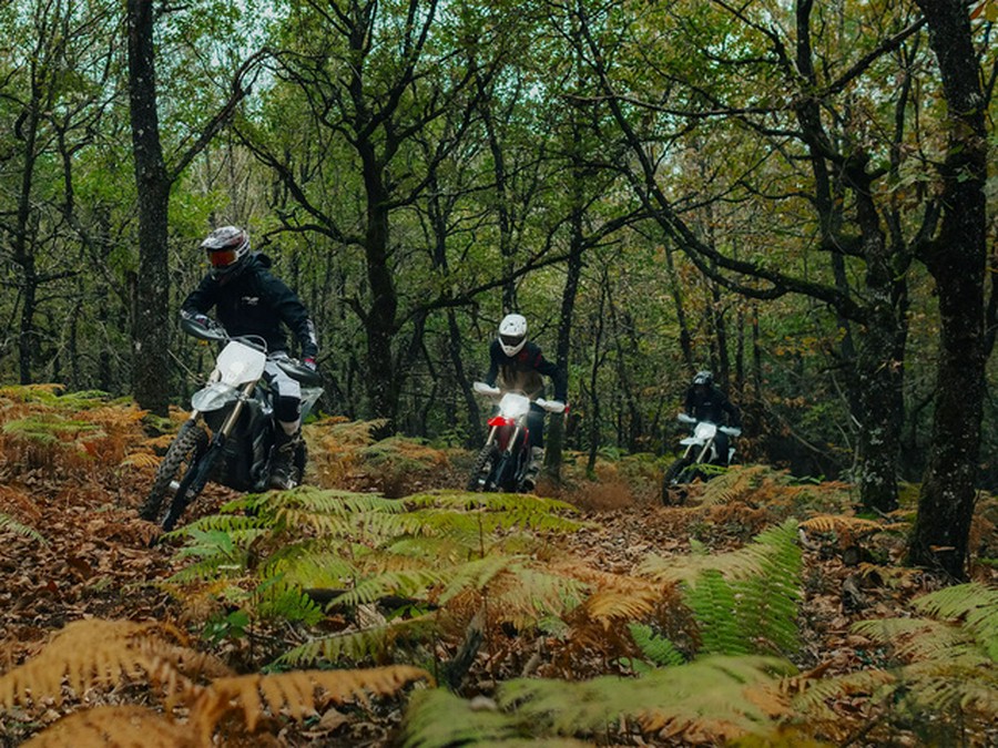 2025 Stark Future VARG EX 60 HP