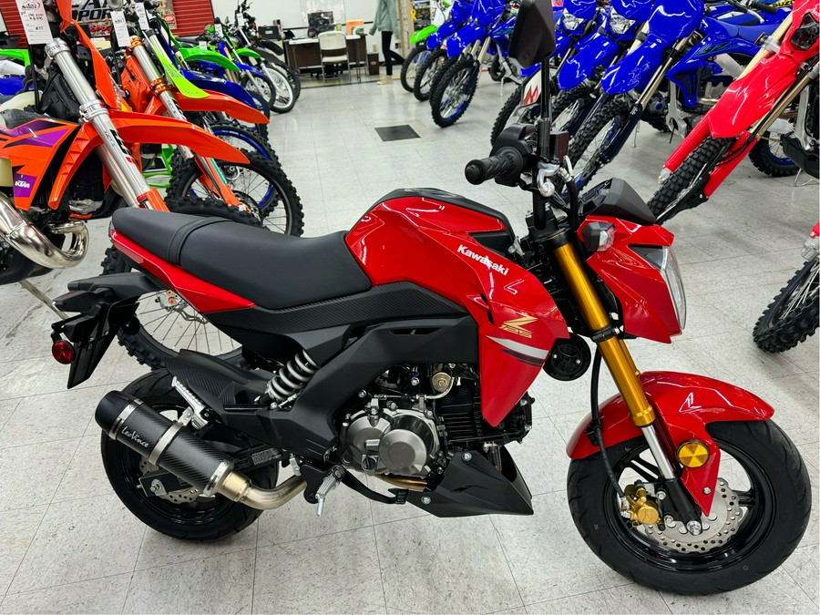 2023 Kawasaki Z125 Pro