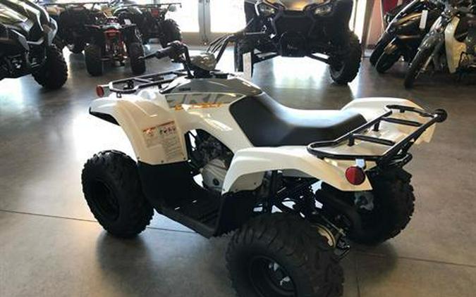 2024 Yamaha Grizzly 90