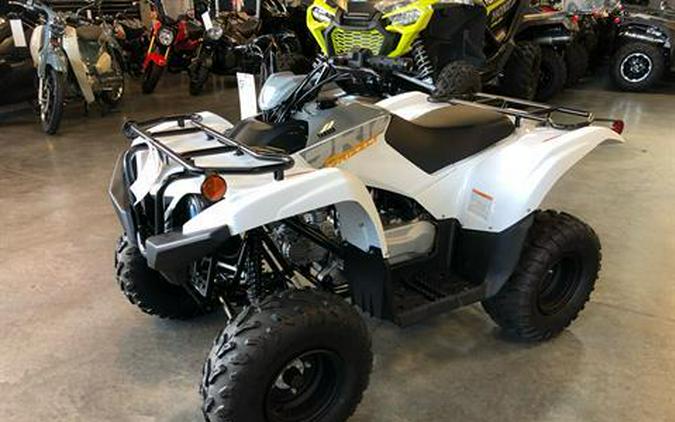 2024 Yamaha Grizzly 90