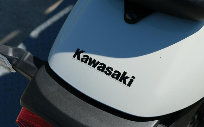 2026 KAWASAKI ELIMINATOR