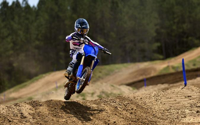 2027 Yamaha YZ65