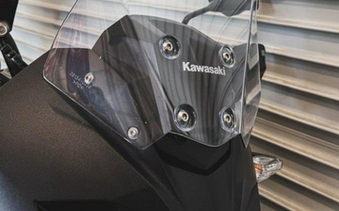 2019 Kawasaki Versys-X 300 ABS