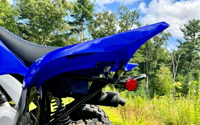 2024 Yamaha Raptor 110