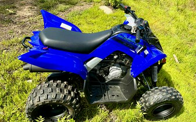 2024 Yamaha Raptor 110