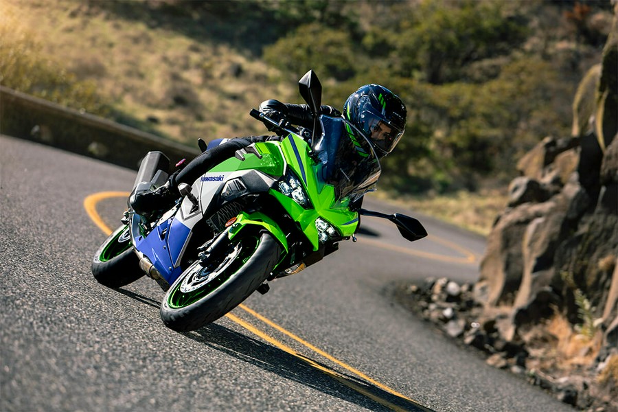 2024 Kawasaki Ninja® 500 SE 40th Anniversary Edition ABS